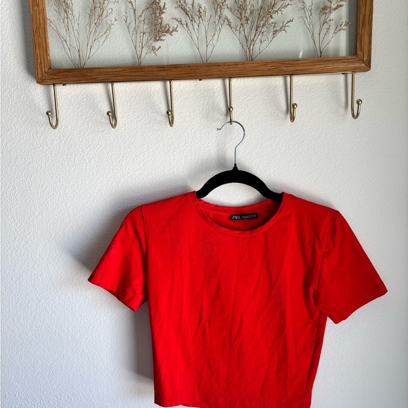 Bright Red Fitted Cropped T-Shirt in size Small! - Picture 1 of 6